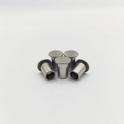 مسامير برشام شبه أنبوبية ذات رأس مسطح من الفولاذ المقاوم للصدأ 316L ISO 15977